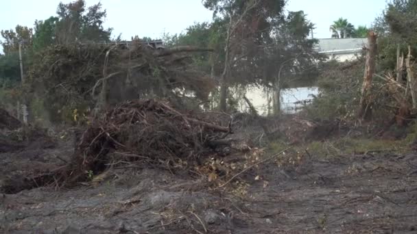 Construction Machinery Clearing Brush Trees Property Prior Construction — Vídeo de Stock