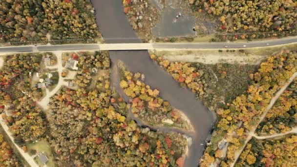 Autumn Leaves Beautiful Colors Pullout Birds Eye View Topview — Stock video
