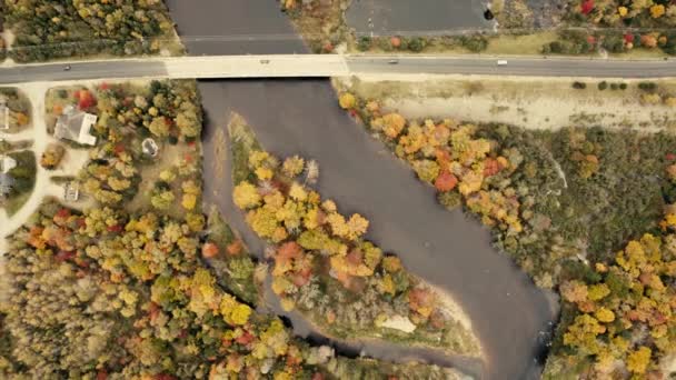 Autumn Leaves Beautiful Colors Pullout Birds Eye View Topview — Stok video