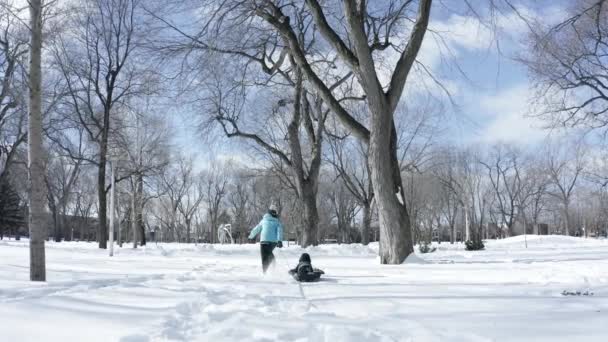 Sleigh Ride Park Cold Winter Day Mother Child Drone Follow — 图库视频影像