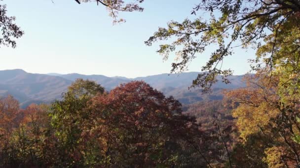 Shot Blue Ridge Parkway — стоковое видео