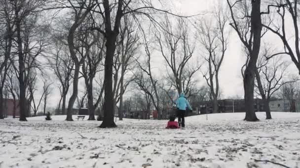 Sleigh Ride Park Cold Winter Day Mother Child Drone Follow — 图库视频影像