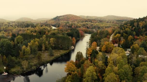 Autumn Leaves Beautiful Colors Landscape Drone Pan Left — Stock video