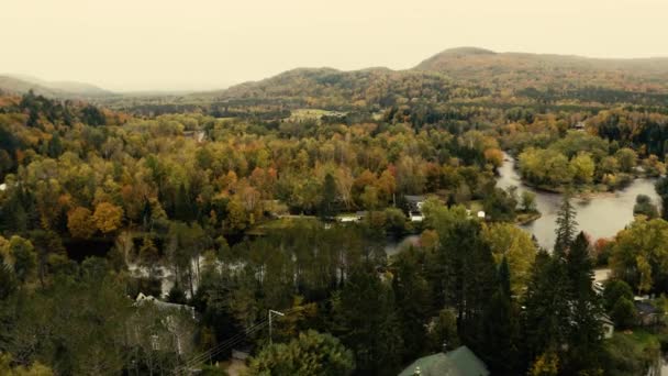 Autumn Leaves Beautiful Colors Landscape Flyover Drone — Stock videók