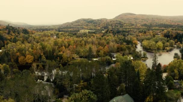 Autumn Leaves Beautiful Colors Landscape Flyover Drone — Stockvideo