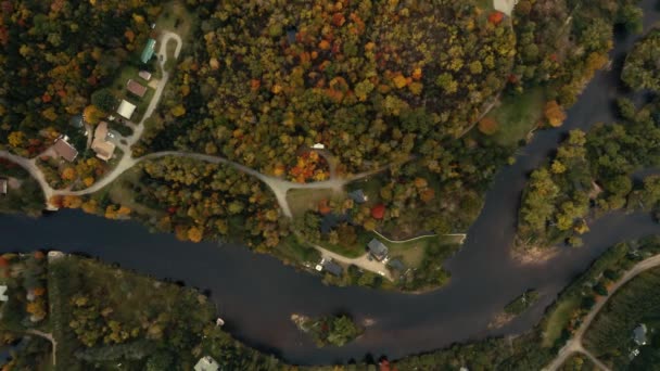 Autumn Leaves Beautiful Colors Slow Pushdown Birds Eye View Topview — Stok video