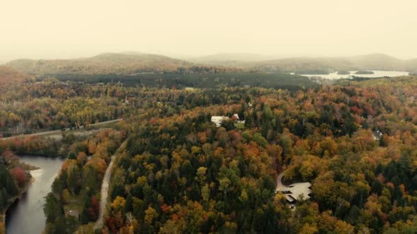 Autumn Leaves Beautiful Colors Landscape Drone — Stock video