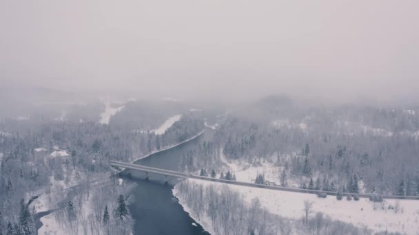 Туманный Зимний Пейзаж Беспилотник Летающий Горы Деревья Реки Снежный Киномост — стоковое видео