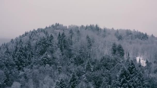 Туманный Зимний Пейзаж Беспилотник Летающий Горы Деревья Реки Снежный — стоковое видео