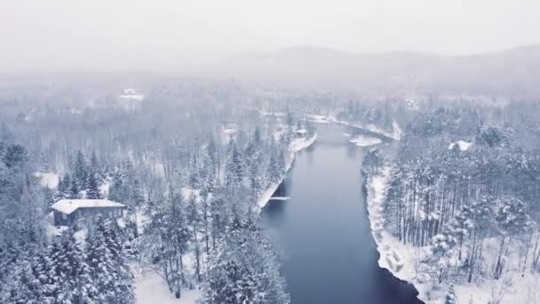 Туманный Зимний Пейзаж Беспилотник Летающий Горы Деревья Реки Снежный — стоковое видео