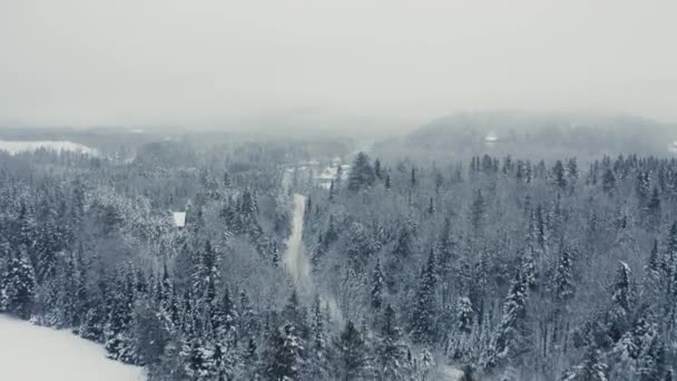 Foggy Winter Landscape Drone Flying Mountains Trees Rivers Sequence — Stockvideo