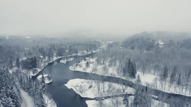 Туманный Зимний Пейзаж Полет Дрона Горы Деревья Реки Последовательность — стоковое видео