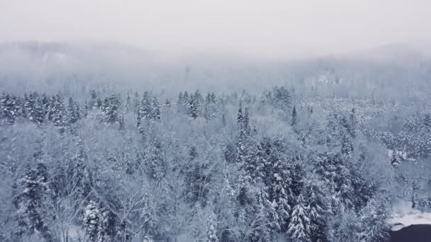 Foggy Winter Landscape Drone Flying Mountains Trees Rivers Snowy Cinematic — Video Stock