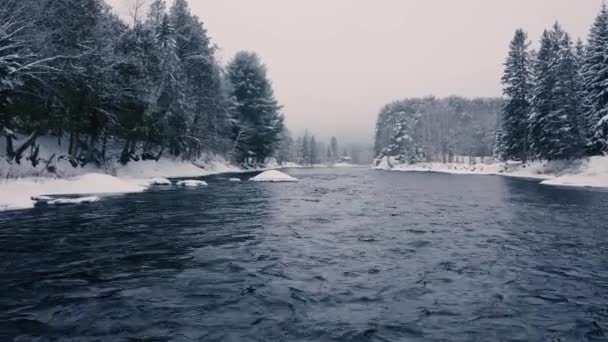 Foggy Winter Landscape Drone Flying Mountains Trees Rivers Snowy — Vídeo de stock