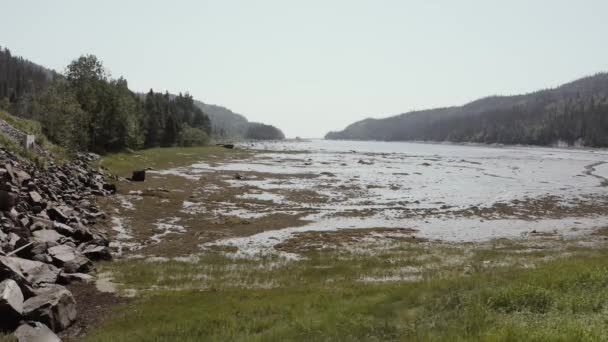 Atlantic Ocean Bay Drone Seashore Road Drone — Video