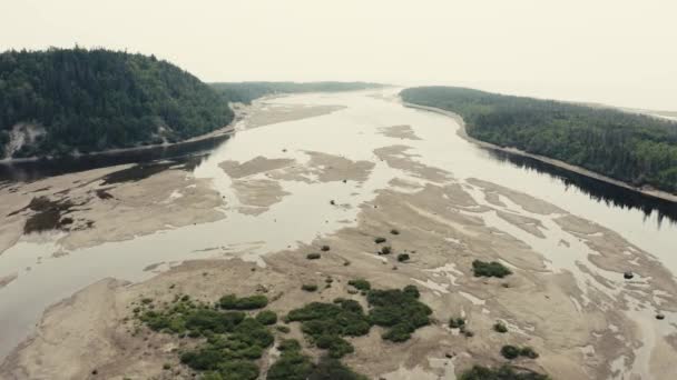 Salmon River Going Downstream Drone Flying Open Ocean — стоковое видео
