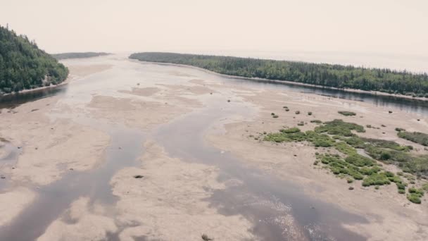 Salmon River Going Downstream Drone Flying — стоковое видео