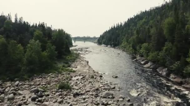 Salmon River Going Downstream Drone Flying Open Ocean — Αρχείο Βίντεο