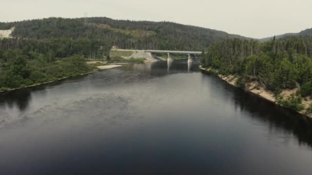 Salmon River Going Upstream Drone Flying Seq — стоковое видео