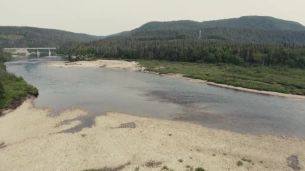 Salmon River Going Upstream Drone Flying Seq — стоковое видео