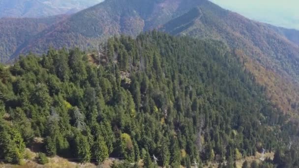 Heniu Summit Romania Top Lush Mountains Fringed Green Trees Bright — Stockvideo
