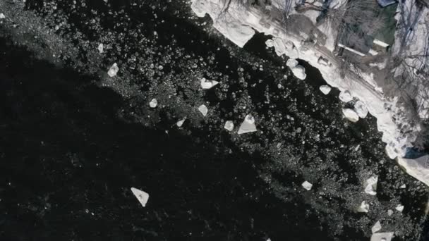 River Icebergs Birdseyeview Drone — 图库视频影像