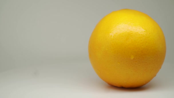 Pulpy Orange Freshly Picked Farm Close Shot — Wideo stockowe