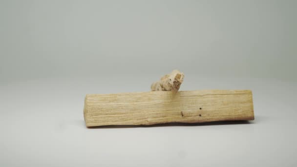 Two Pieces Dried Palo Santo Wood Overlaps Each Other Close — Vídeo de Stock