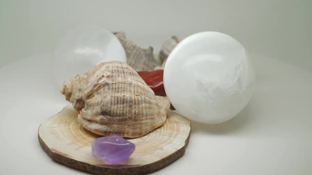 Sea Shells Sitting Top Wooden Craft Two Crystal Balls Small — Vídeo de Stock