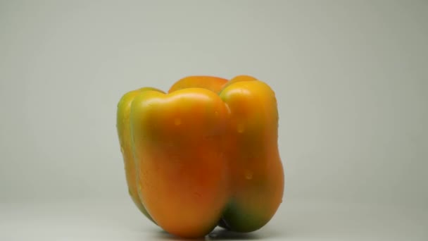 Yellow Bell Pepper Rotating Spinning Turntable Close Shot — Vídeo de Stock