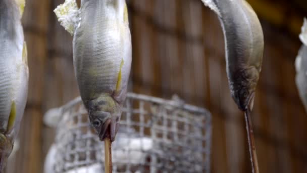 Japanese Street Food Shioyaki Grilled Fish Stick Static Close — Videoclip de stoc