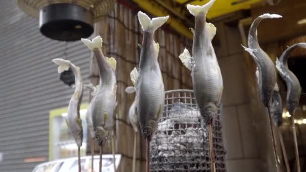 Japanese Grilled Ayu Fish Sweetfish Skewered Sticks Rotating Left Medium — Stockvideo