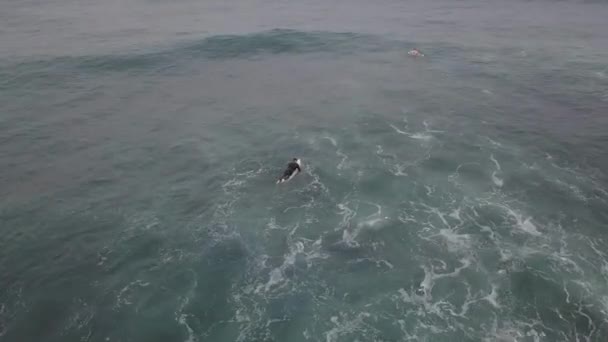 Surfer Incoming Swell His Way Zone Aerial — Stock video