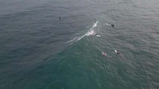 Two Surfers Have Short Rides Beautiful Wave Buffalo Bay Africa — Stock video