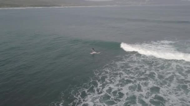 Paddleboarder Attempts Vain Catch Small Surf Wave Aerial — 图库视频影像