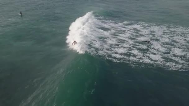 Surfer Board Shorts Catches Wave Buffalo Bay Africa Aerial — Video Stock