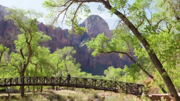 Ultra Slow Motion Shot Woman Walking Bridge Virgin River Zion — 图库视频影像