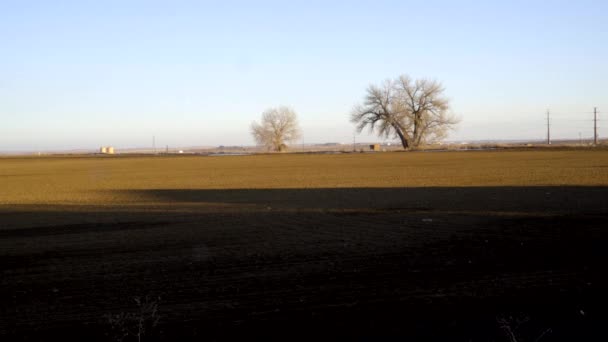 Long Shadows Stretching Arid Farm Land Field Sunset Time Lapse — 图库视频影像