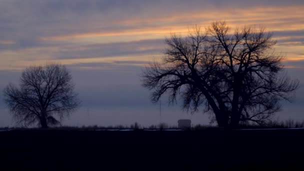 Scenic Sunrise Silhouette Big Old Barren Trees Winter Farm Landscape — Stock videók