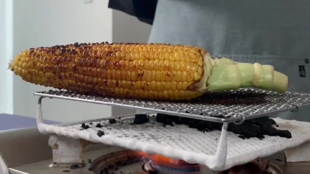 Japanese Female Chef Grills Corn Her Home Kitchen Tokyo Japan — Stock video