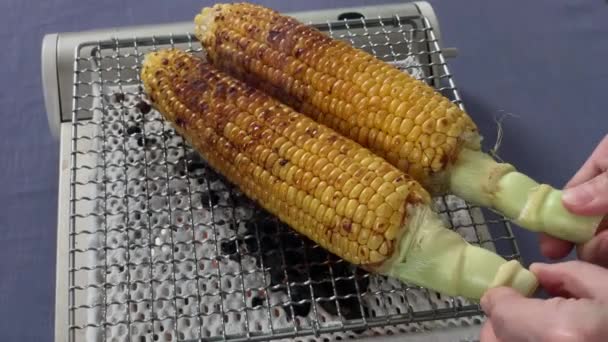 Japanese Female Chef Puts Shoyu Soy Sauce Grilled Corn Her — Vídeo de Stock