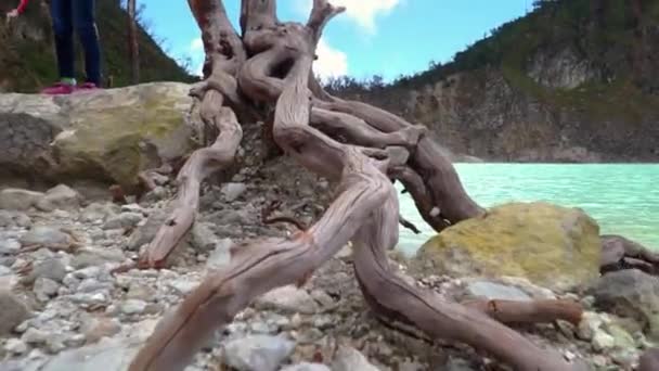 Camera Follow Dead Tree Next White Volcano Lake Crater Java — 비디오