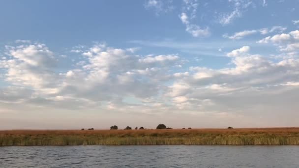 African Savanna Cloudy Sky Shot Boat River — Stock video