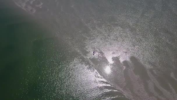 One Lone Man Digging Clams Muddy Lagoon High Overhead Aerial — Stock video