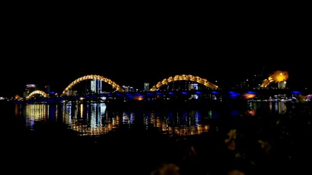 Standing Looking Bridge Night Nang Vietnam Night Dragon Bridge Lights — 图库视频影像