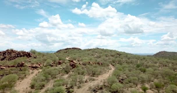 Forward Moving Drone Shot Mountain Dry Game Farm Drought Okahandja — Stock videók
