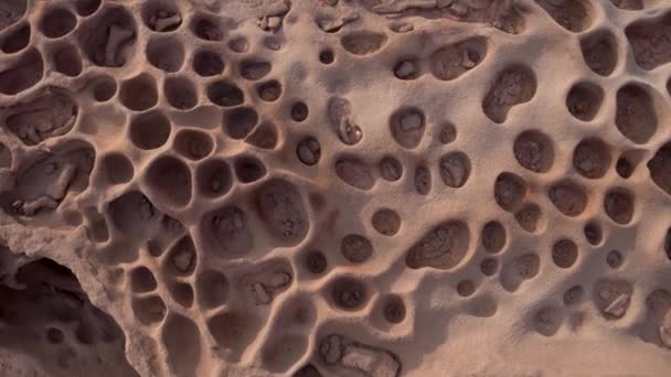 Close Shot Tafoni Formations Clay Pan Namibia — Video