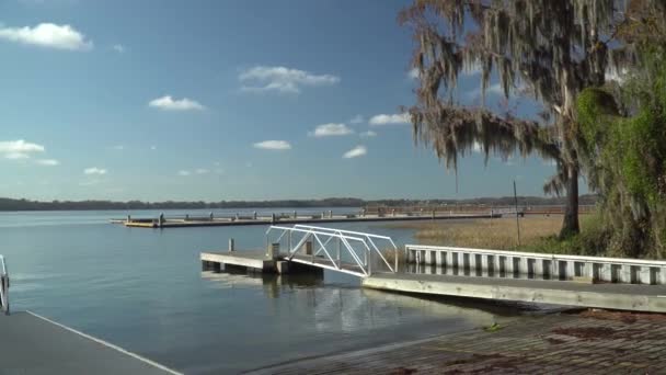 Hickory Point Recreation Park Tavares Florida Afternoon — Wideo stockowe
