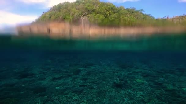 Shot Island Surface Close Lens Small Waves Revealing Coral Garden — Αρχείο Βίντεο
