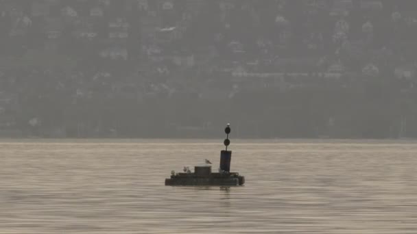 Abandoned Buoy Floating Top Water Middle Lake Balaton — Vídeo de Stock